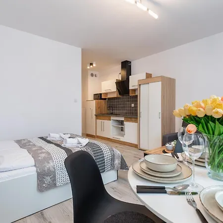 公寓 Luzycka Cosy By Renters 斯维诺乌伊希切