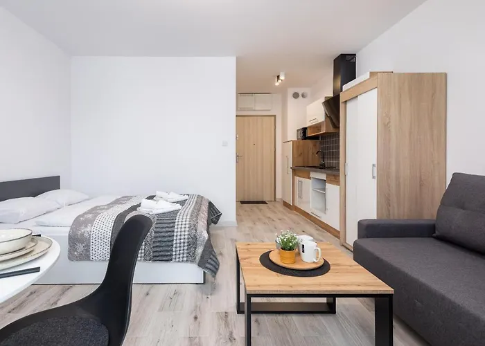 Luzycka Cosy By Renters 斯维诺乌伊希切