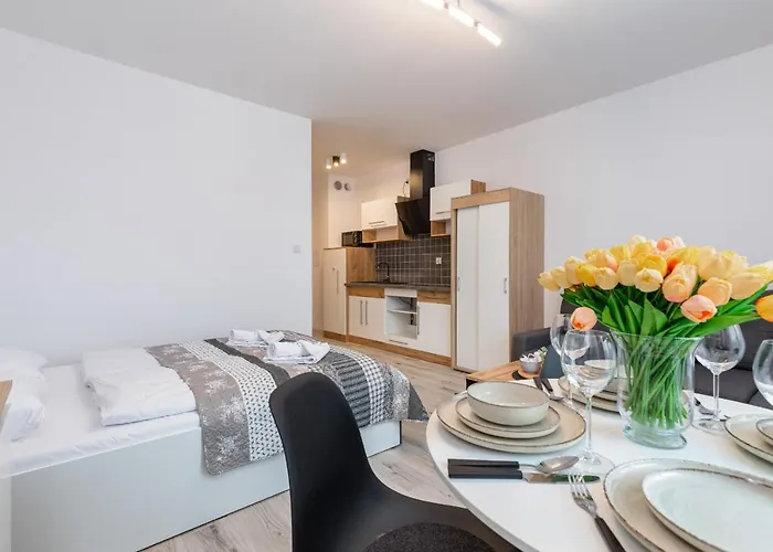 公寓 Luzycka Cosy By Renters 斯维诺乌伊希切