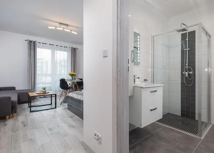 Luzycka Cosy By Renters 公寓 斯维诺乌伊希切