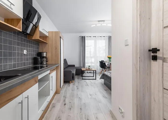 Luzycka Cosy By Renters * 斯维诺乌伊希切